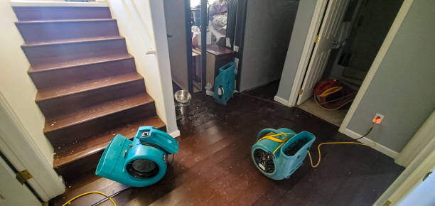Water damage restoration insurance claims in Hawthorne, NV