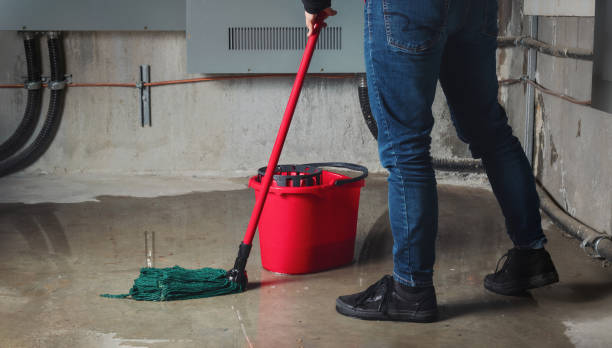 Best Flood restoration services  in Hawthorne, NV