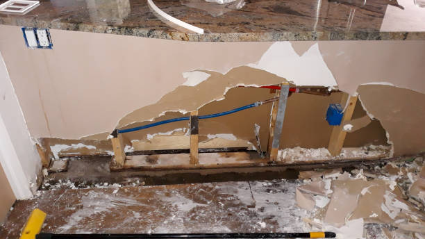 Best Sewage cleanup and water damage restoration  in Hawthorne, NV