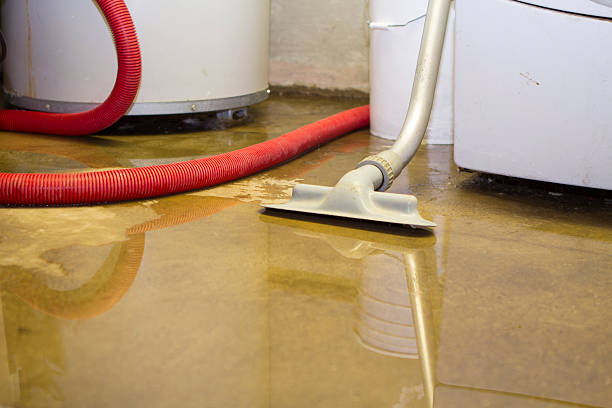 Best 24-hour water damage restoration  in Hawthorne, NV