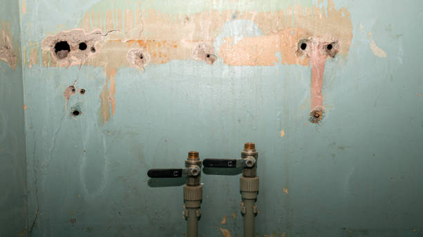 Best Water damage cleanup near me  in Hawthorne, NV