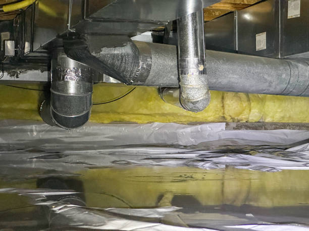 Best Water damage restoration near me  in Hawthorne, NV