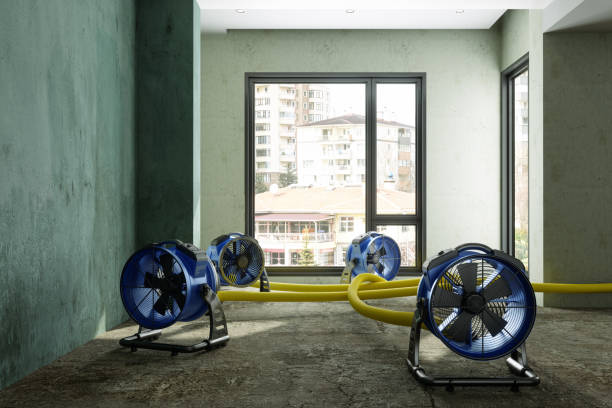 Water damage restoration mold remediation in Hawthorne, NV